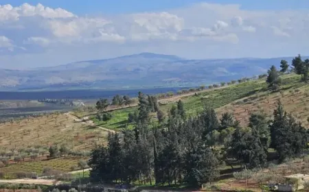الحرارة حول معدلاتها السنوية مع أجواء صيفية حارة نسبياً