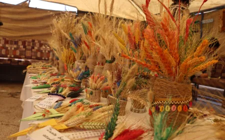انطلاق مهرجان القمح الأول في الجزيرة.. رحلة الحبة من الحقل إلى المائدة