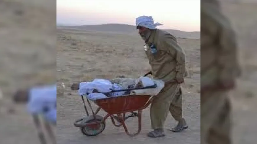وفاة صاحب الصورة الأيقونية في إبادة الإيزديين