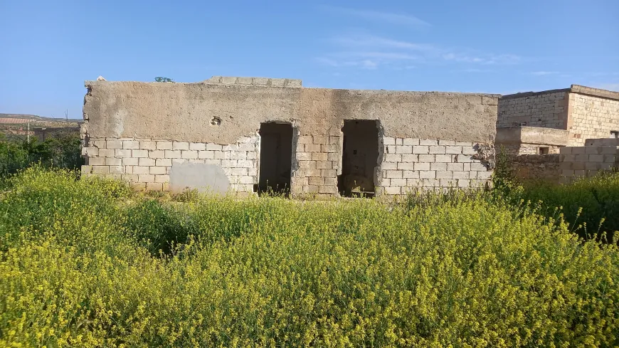 العائدون إلى عفرين يبدؤون إعادة بناء منازلهم واستصلاح أراضيهم