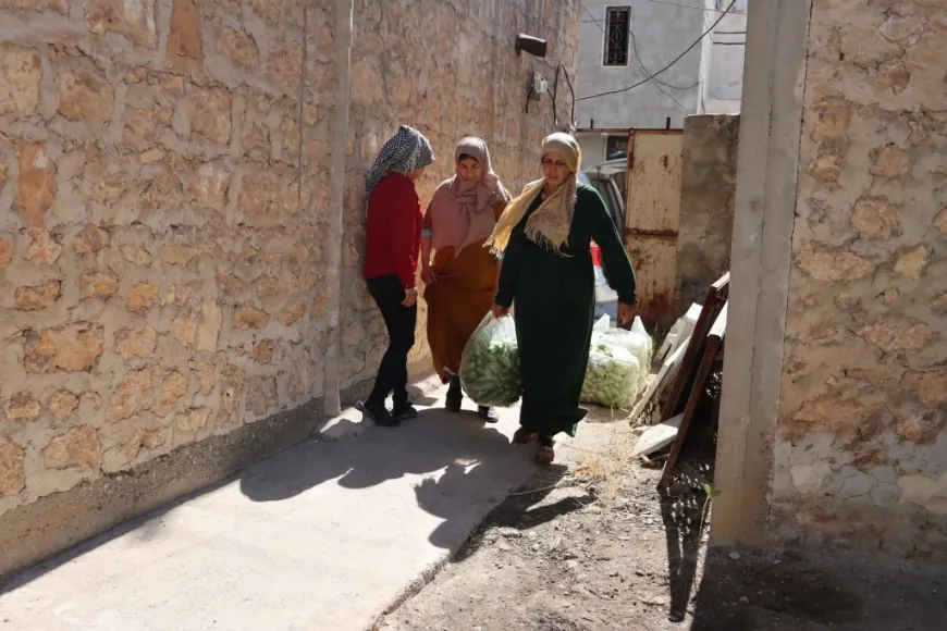 النساء في كوباني يحوّلن خيرات الأرض إلى مونة ومصدر دخل
