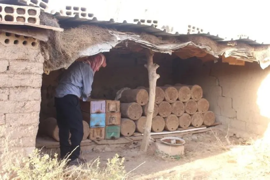 بعد أن أفقده الجفاف 400 خلية.. نحال من آليان يعيد إحياء مهنة أجداده