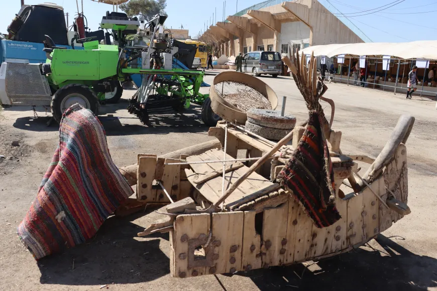 انطلاق مهرجان القمح الأول في الجزيرة.. رحلة الحبة من الحقل إلى المائدة