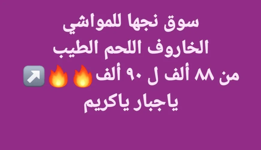 صفحات مجهولة تتلاعب بأسعار المواشي السورية في ظل غياب منصة رسمية للأسعار