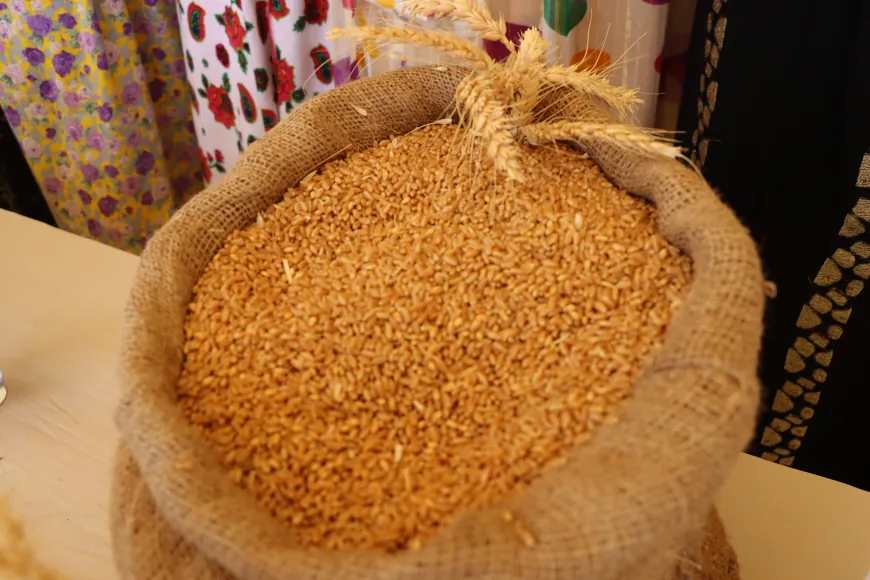 السليقة.. طقس تراثي يتجدد في مهرجان القمح الأول بقامشلو