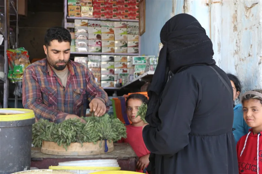 توجُّه إلى التداوي بالأعشاب في علاج الأمراض المزمنة