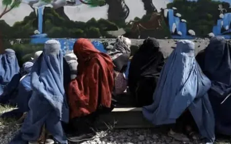طالبان تختطف 17 امرأة في مدينة هرات الأفغانية