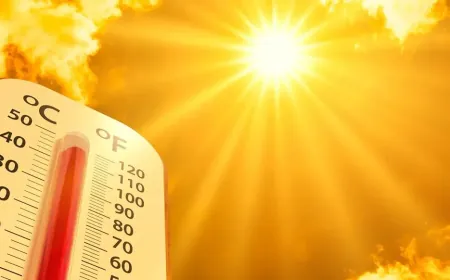 الأمم المتحدة: موجات الحر أصبحت أكثر تواتراً وشدة