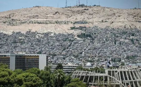 طقس صيفي معتدل مع فرص لهطول زخات مطرية