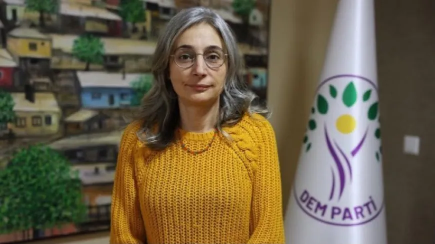 سياسية: القانون الإطاري مفتاح لنقل القضية الكردية من العنف إلى السياسة