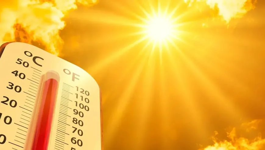 الأمم المتحدة: موجات الحر أصبحت أكثر تواتراً وشدة