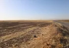 الحكومة تؤخر مستحقات القمح ومزارعو الحسكة عاجزون عن التحضير للموسم الجديد