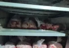مخاوف في حماة من مسالخ غير نظامية وفروج نافق