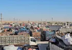 القافلة الثالثة لعودة مهجّري سري كانيه تنطلق الأحد من الحسكة وتضم أكثر من 500 عائلة