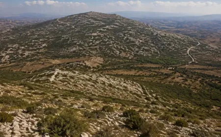 صحيفة أميركية: إسرائيل تحاصر عناصر لحزب الله ومستشارين إيرانيين في مرتفع علي الطاهر
