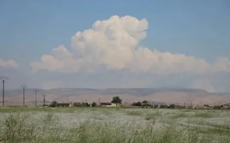 أجواء صيفية وحارة نسبياً في سوريا اليوم