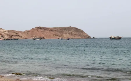 الحوثيون يصلون إلى ميون ويسيطرون على ذوباب قرب باب المندب