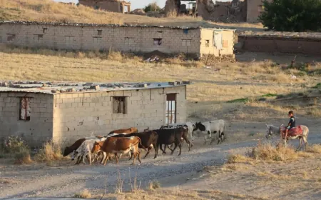 أجواء صيفية حارة نسبياً في سوريا حتى مطلع الأسبوع المقبل