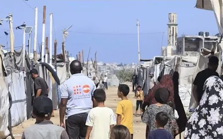 الأمم المتحدة: ظروف صعبة تواجه الحوامل والأمهات الجدد في غزة