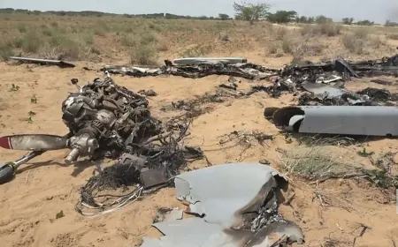 مصدر غربي: فساد وانقسام القيادة وراء سقوط المخا بيد الحوثيين خلال 36 ساعة