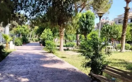أجواء خريفية معتدلة وأمطار متفرقة في عدد من المناطق