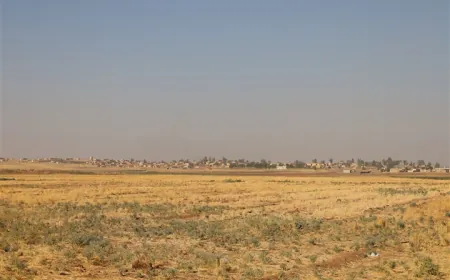 السياسات الحكومية قد تدفع المزارعين في الجزيرة للتخلي عن زراعة القمح