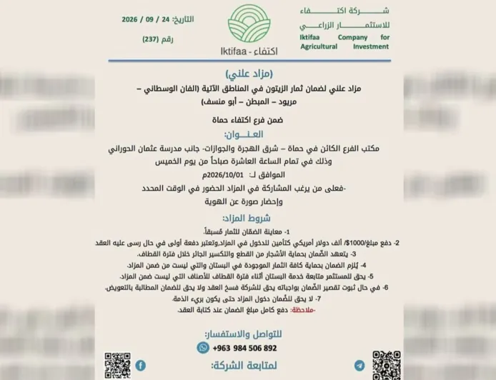 مزاد لثمار أراضي في ريف حماة يثير مخاوف بشأن حقوق الملكية