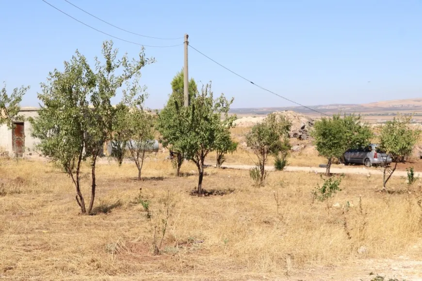 تحويل تل مشته نور في كوباني إلى محمية طبيعية