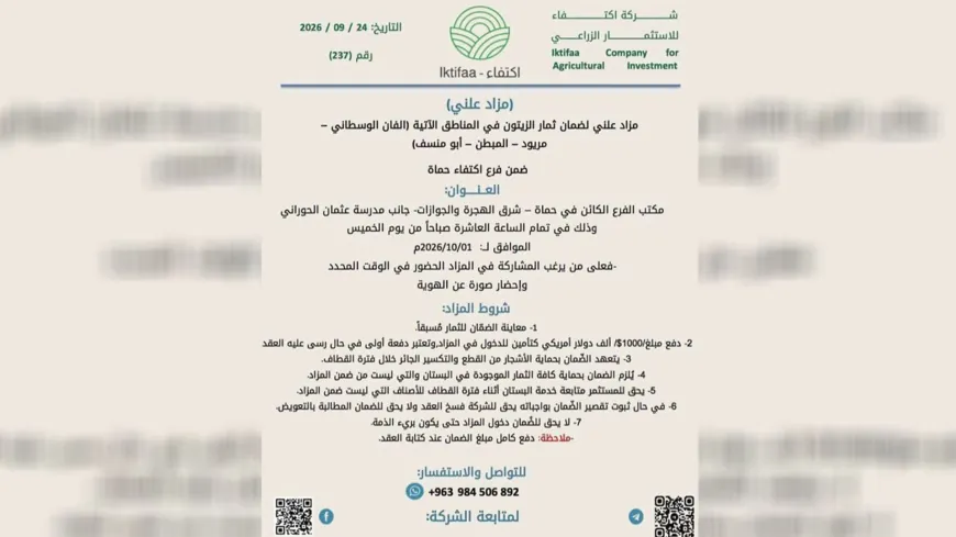 مزاد لثمار أراضي في ريف حماة يثير مخاوف بشأن حقوق الملكية