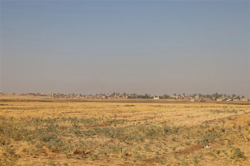 السياسات الحكومية قد تدفع المزارعين في الجزيرة للتخلي عن زراعة القمح