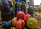 دبس الرمان في عفرين.. مونة شتوية بطعم التراث