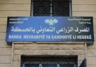 المصرف الزراعي في الحسكة ينفي معلومات متداولة بشأن مدة صرف مستحقات القمح