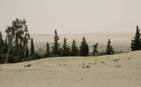 غارات جوية تستهدف محيط السخنة بريف حمص الشرقي