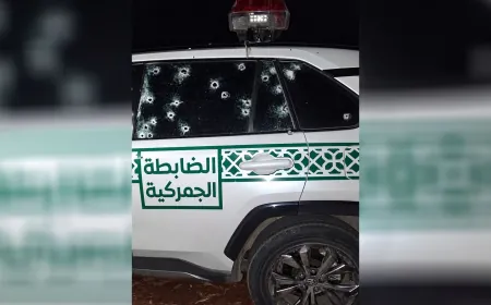 إصابة عنصرين من الضابطة الجمركية جرّاء إطلاق نار في درعا