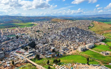 بطالة ما بعد التهجير وموسم زيتون مخيّب للآمال في عفرين