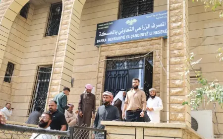 مستحقات معلّقة وتمويل متعثر.. ما مستقبل المصرف الزراعي التعاوني في سوريا؟