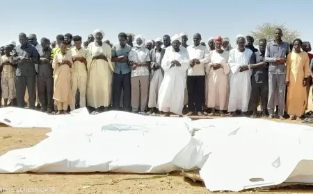 215 قتيلاً ومصاباً في قصف سوق بمدينة نيالا السودانية