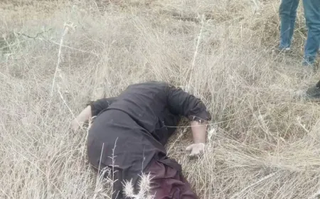 العثور على جثة ستيني مقتولاً بالرصاص غربي مدينة أعزاز