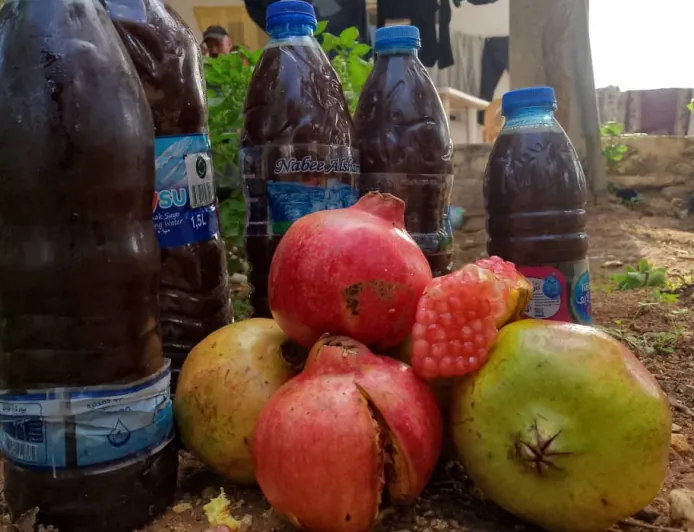 دبس الرمان في عفرين.. مونة شتوية بطعم التراث