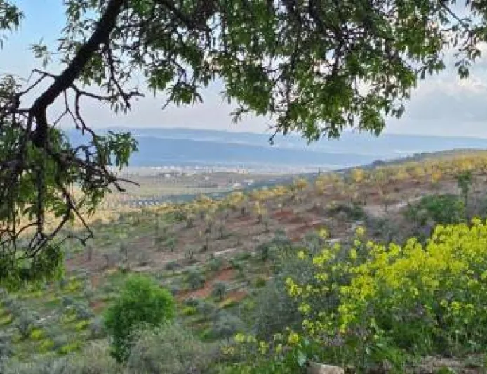 أجواء غائمة جزئياً مع ارتفاع طفيف على درجات الحرارة 