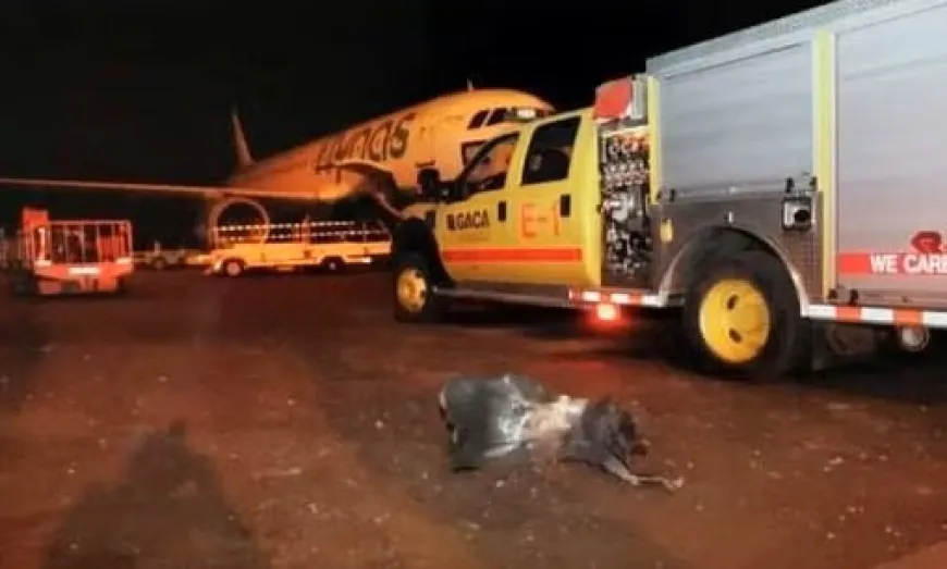 مقتل 3 أشخاص في هجومين على مطار الرياض والحوثيون يصعّدون هجماتهم
