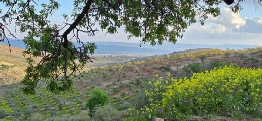 أجواء غائمة جزئياً مع ارتفاع طفيف على درجات الحرارة 