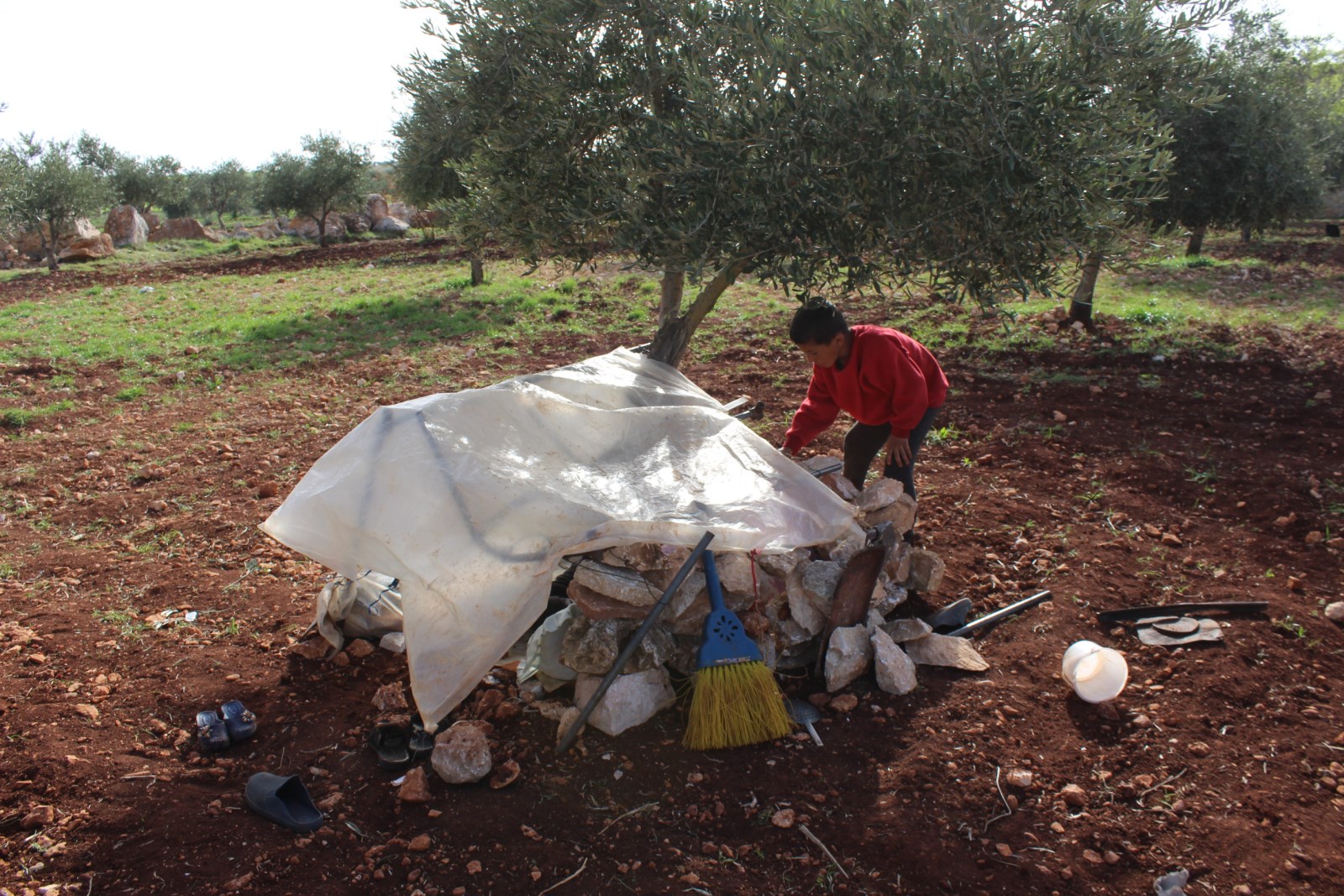 Afrini child was forced to displace, built house under olive tree