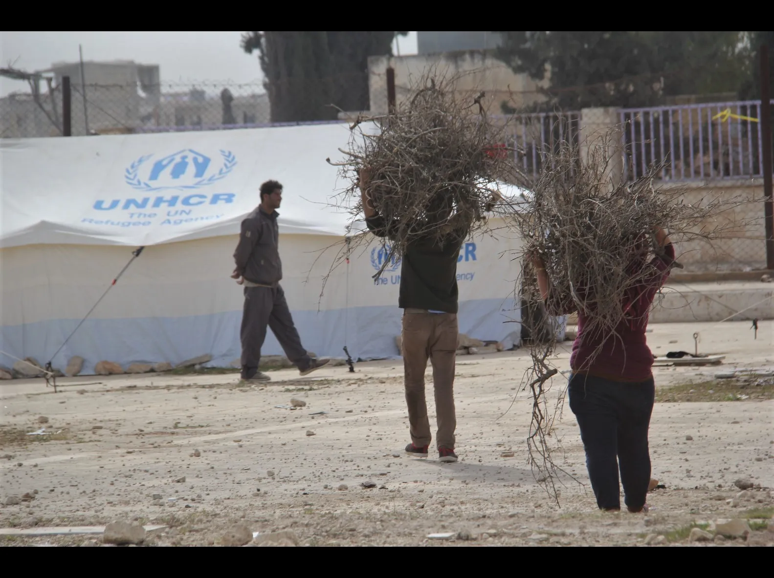 Pictures traced stories of Afrin displaced people in al-Shahba