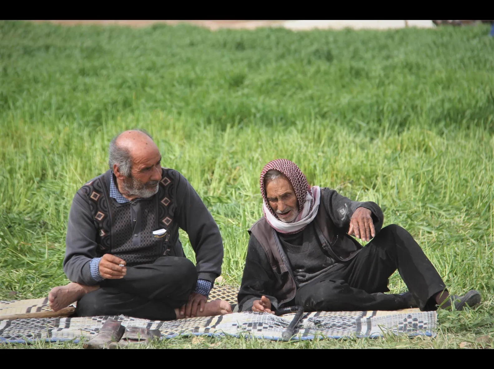 Pictures traced stories of Afrin displaced people in al-Shahba