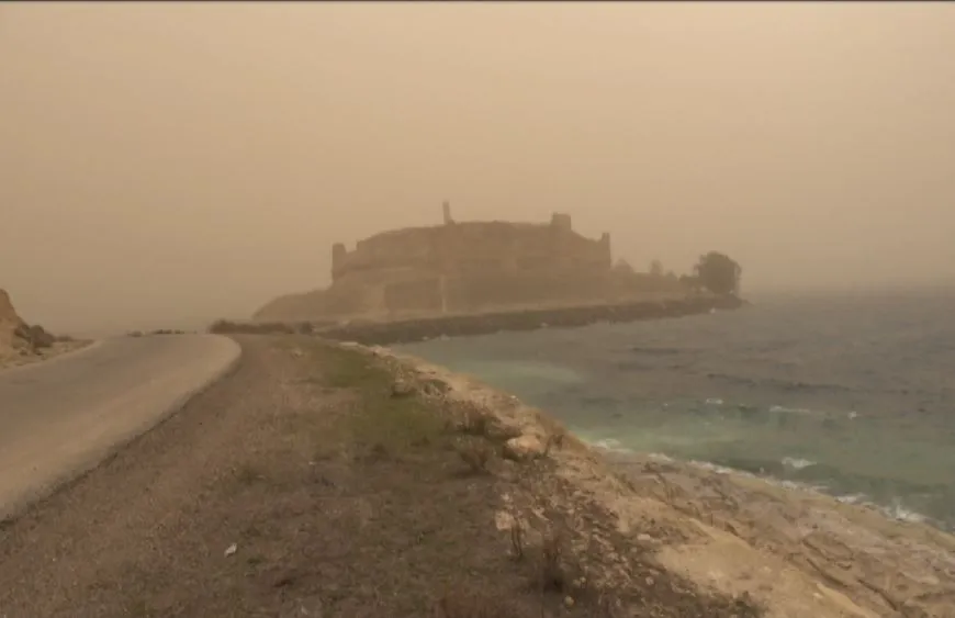 Directorate of Tourism and Antiquities' Protection found artifacts in Ja'aber citadel