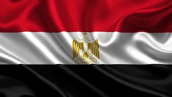 Egypt condemns Turkish aggression on Afrin