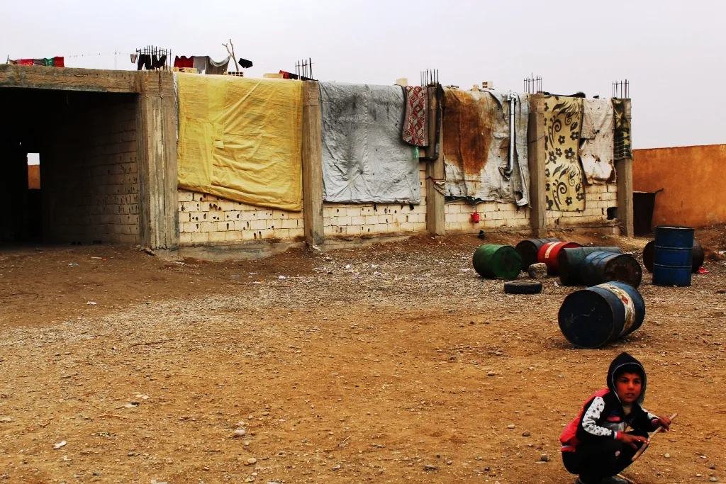 Disease of red bean is spread in al-Mahokiya camp , Organizations Marginalized
