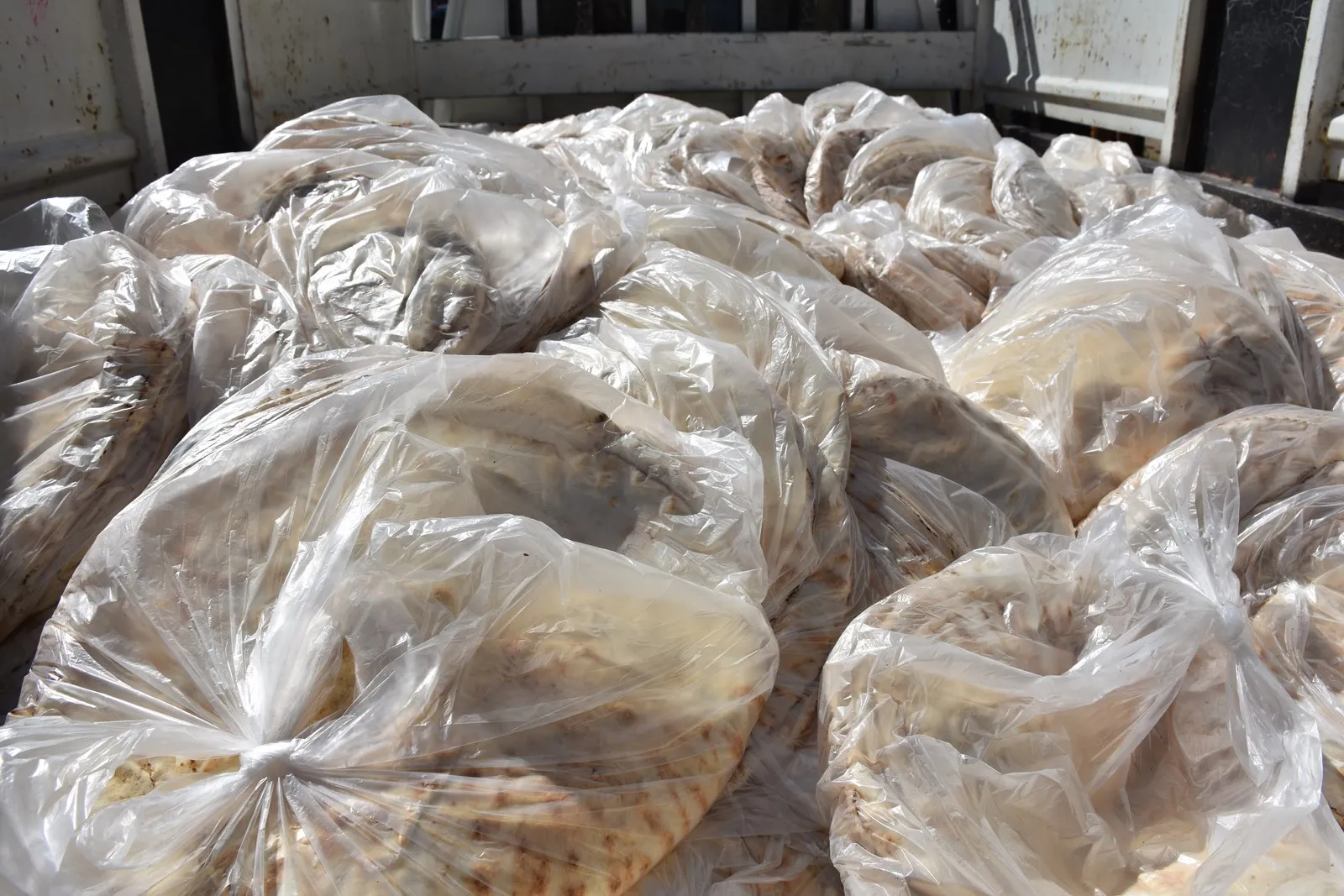 Big efforts, limited potential to cover refugees’ needs
