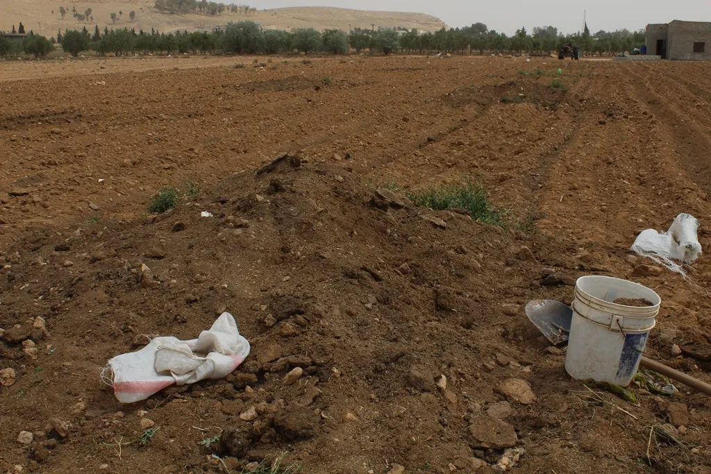 Al-Tabqa women effectively participate in agriculture season, Turkey trying to spoil
